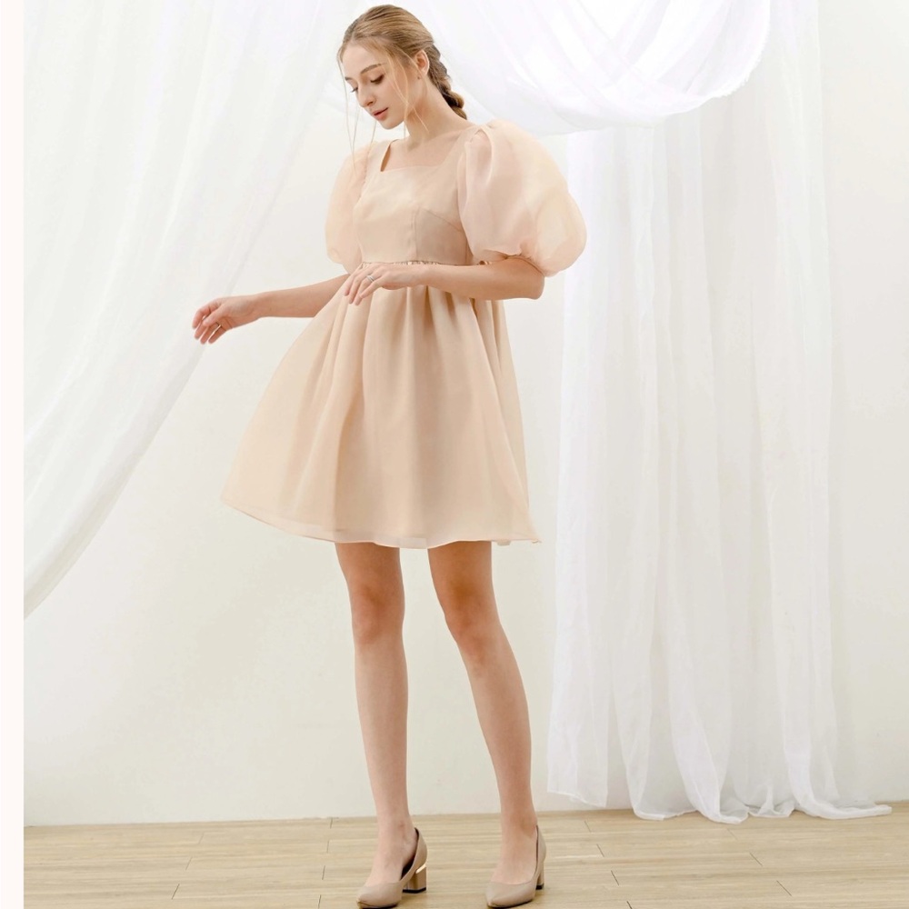 Flowy Organza Dress